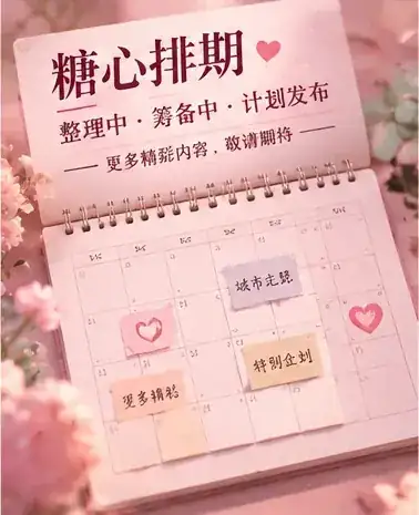 整理进度
